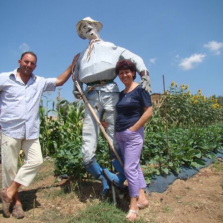 מנצ'יאנו Agriturismo La Svolta מראה חיצוני תמונה