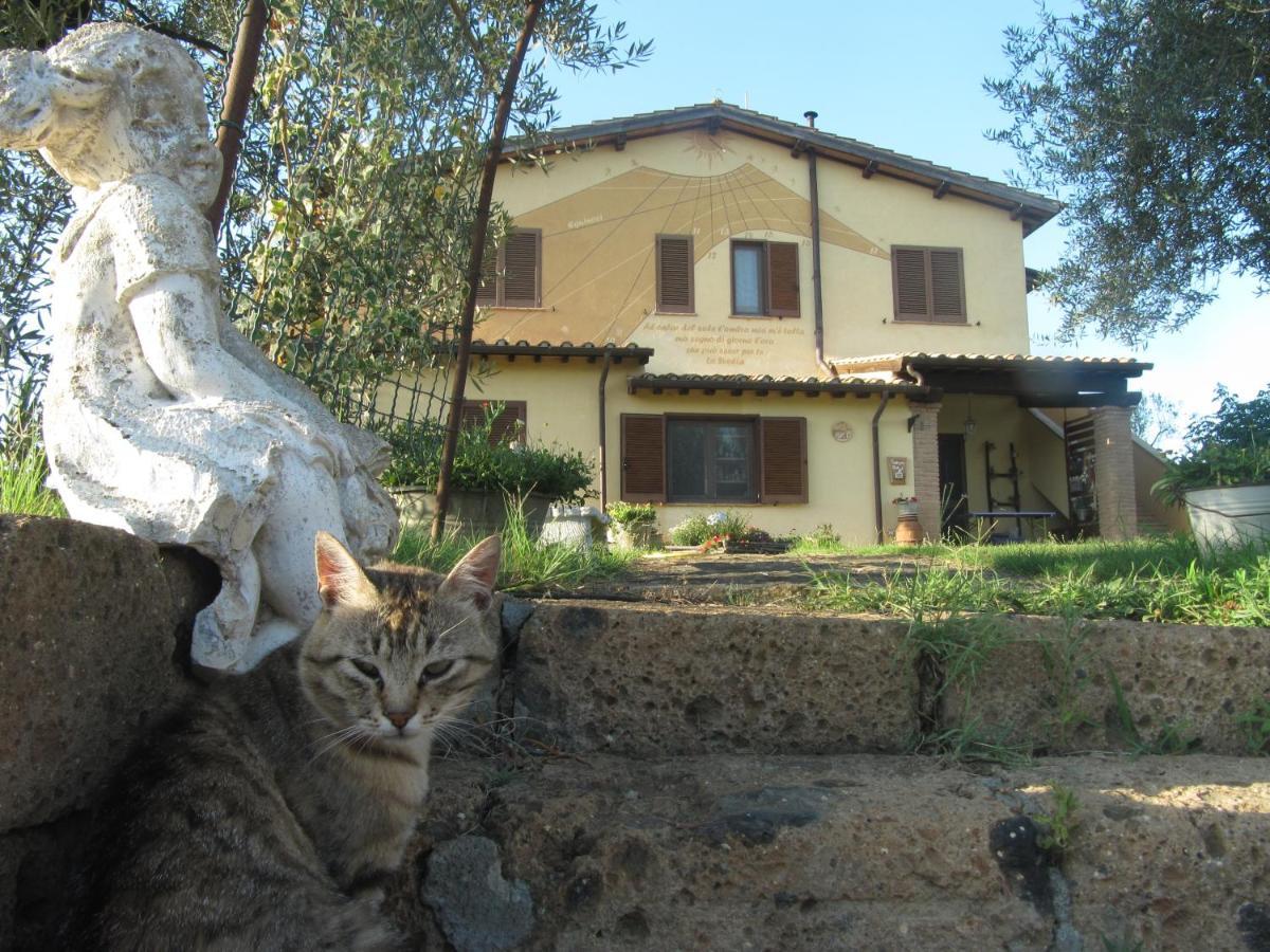 מנצ'יאנו Agriturismo La Svolta מראה חיצוני תמונה