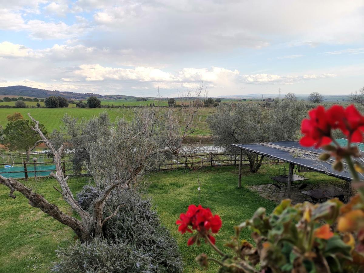 מנצ'יאנו Agriturismo La Svolta מראה חיצוני תמונה