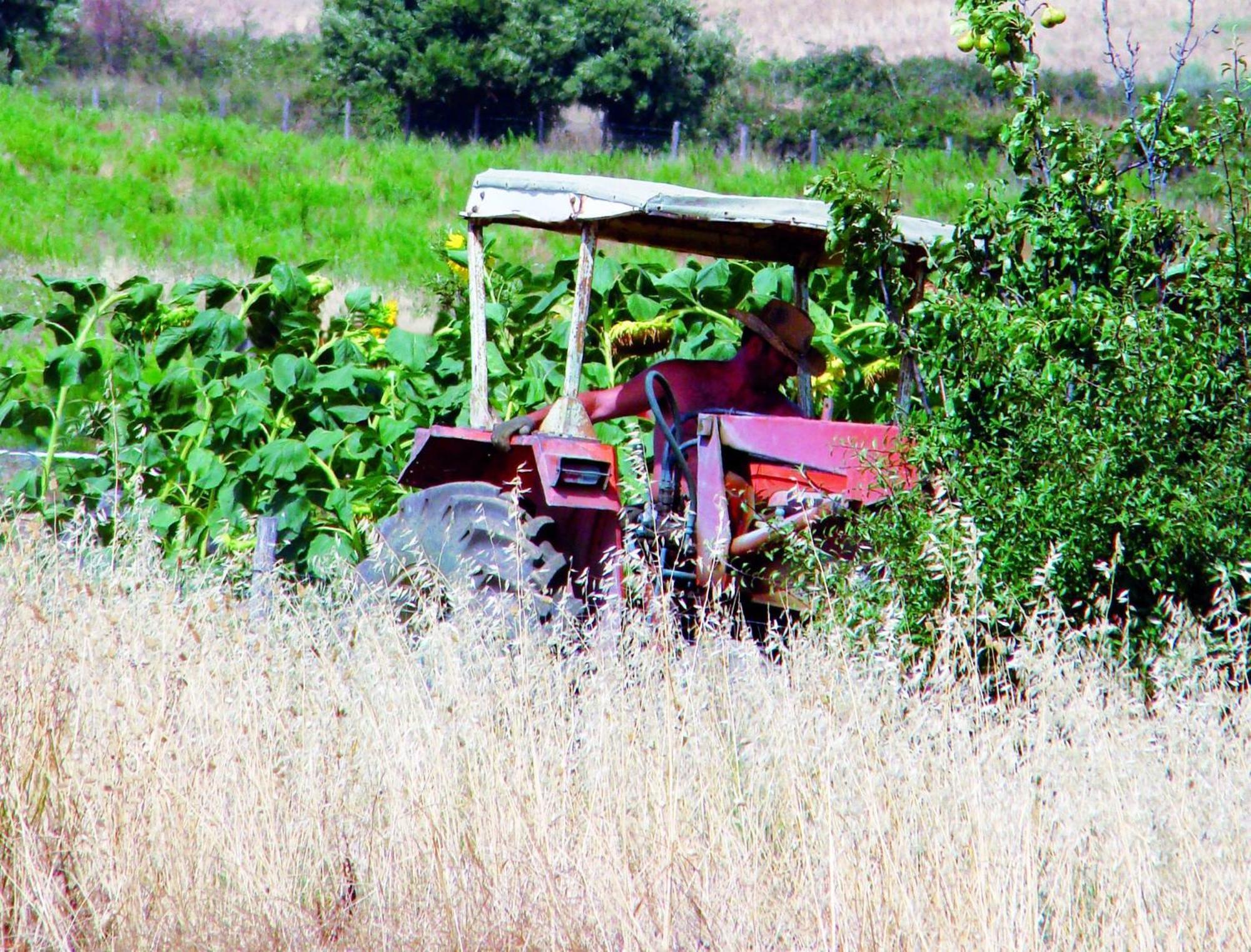 מנצ'יאנו Agriturismo La Svolta מראה חיצוני תמונה