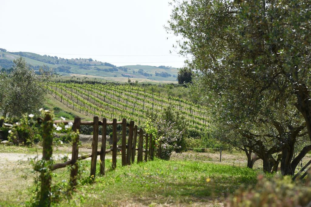 מנצ'יאנו Agriturismo La Svolta מראה חיצוני תמונה