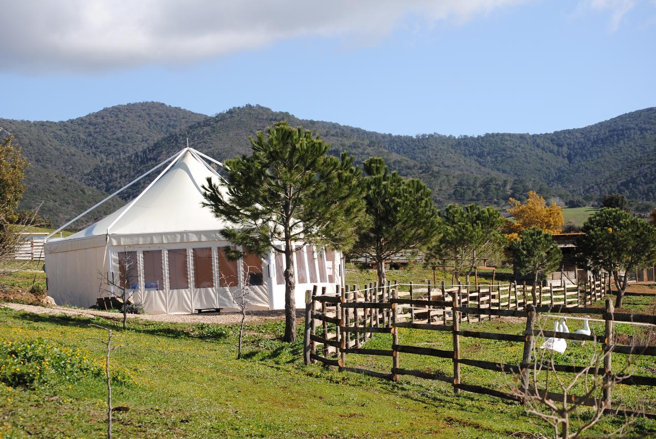 מנצ'יאנו Agriturismo La Svolta מראה חיצוני תמונה